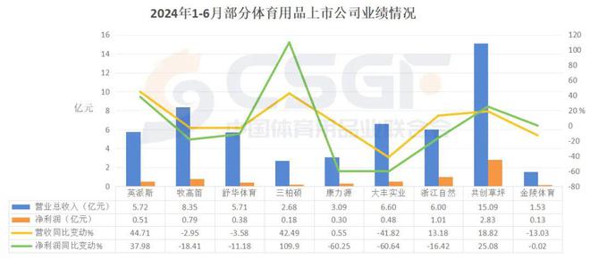 im电竞从2024半年报体育用品公司如何穿越周期